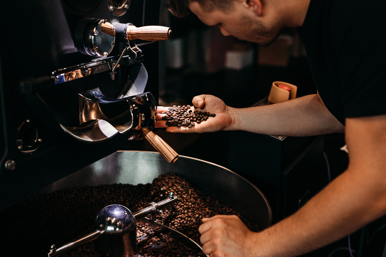 Man working at coffee production. Barista controlling coffee grounds roasting process.