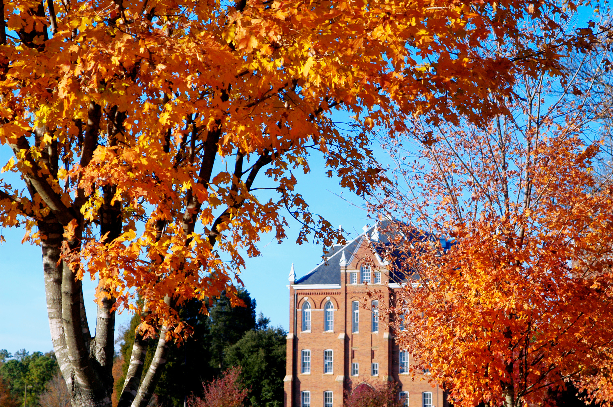 College Campus in Autumn